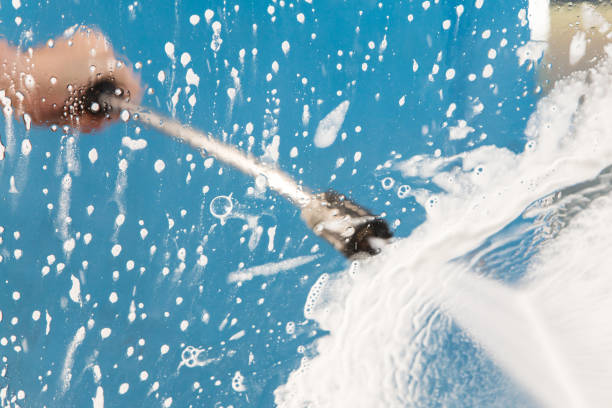 Animal Enclosure Cleaning in Hobart, WA